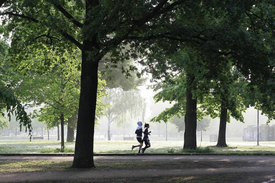 Ile kalorii spala przejechanie 10 km na rowerze?