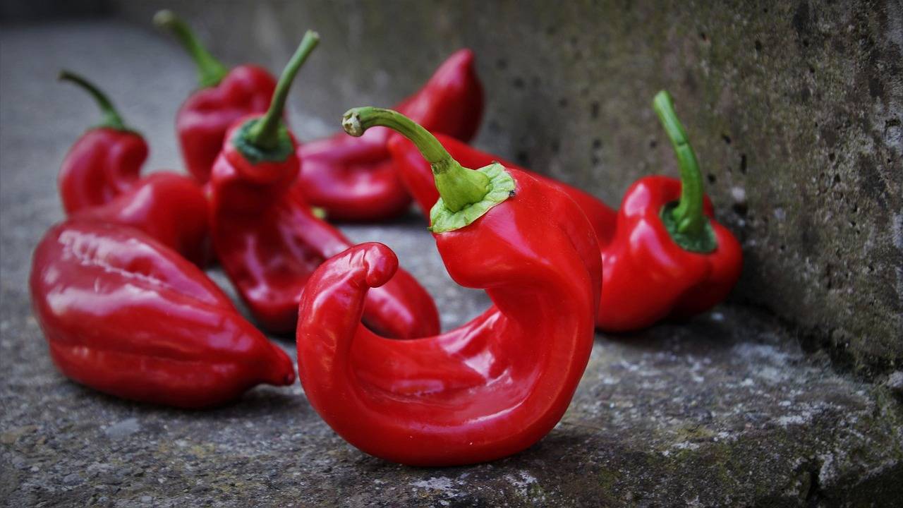 Ile mam jeść kcal żeby czuć się dobrze?